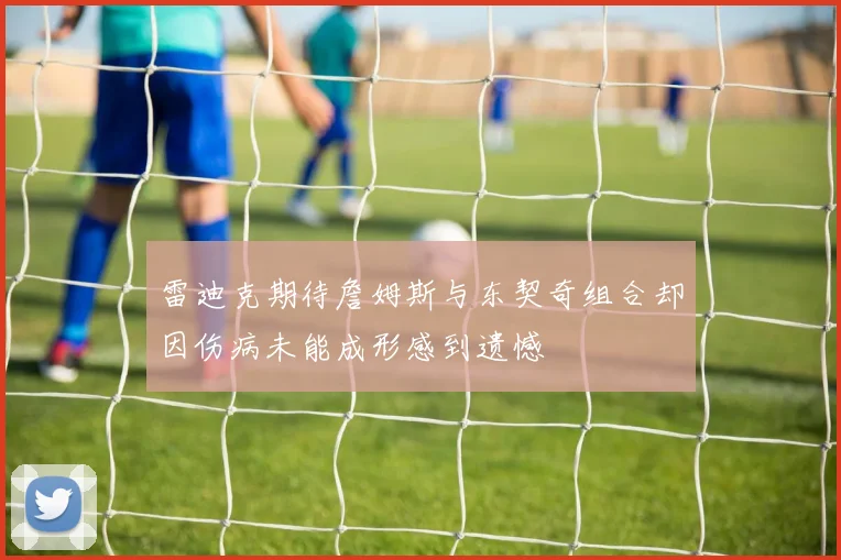 雷迪克期待詹姆斯与东契奇组合却因伤病未能成形感到遗憾